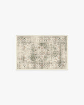 Sarrah Sage Flatwoven Rug