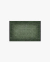 Aura Ombre Solid Sage Flatwoven Rug